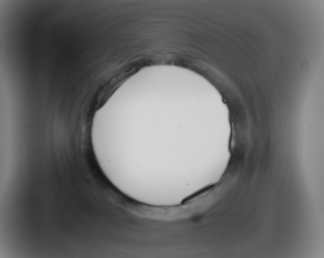 X0000086910037200705141711