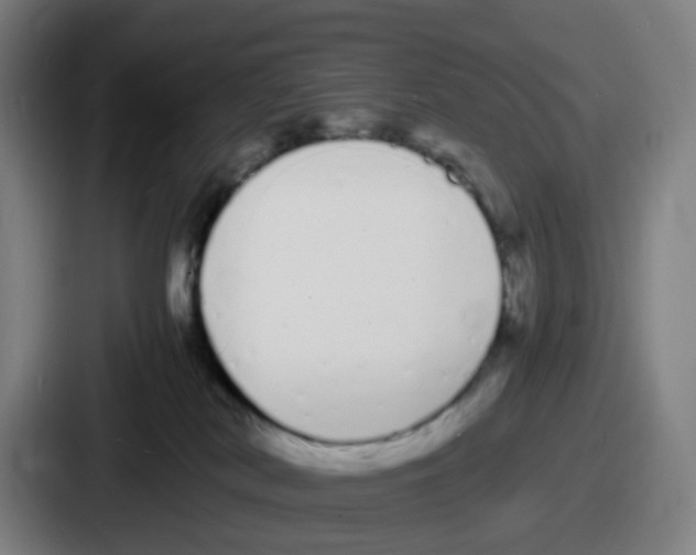 X0000086910038200705141711