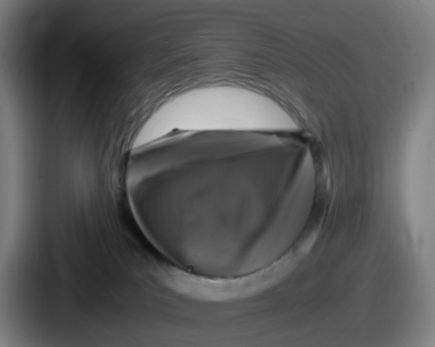 X0000086910039200705141711