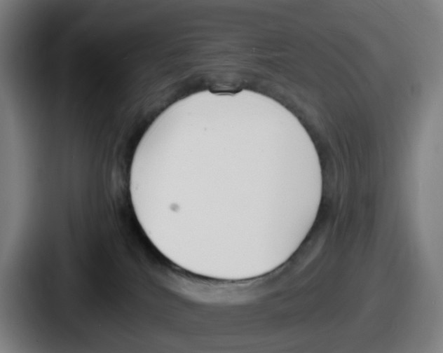 X0000086910040200705141711