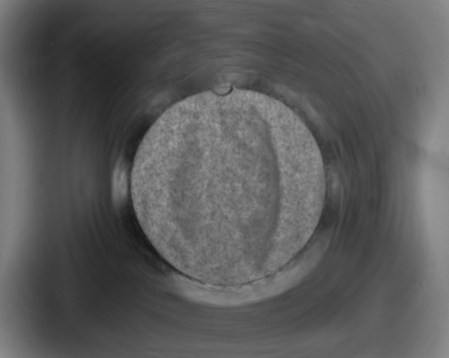 X0000086910042200705141711