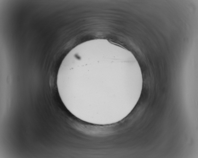 X0000086910044200705141711