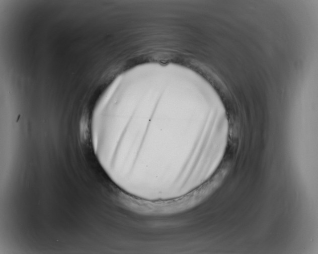 X0000086910046200705141711