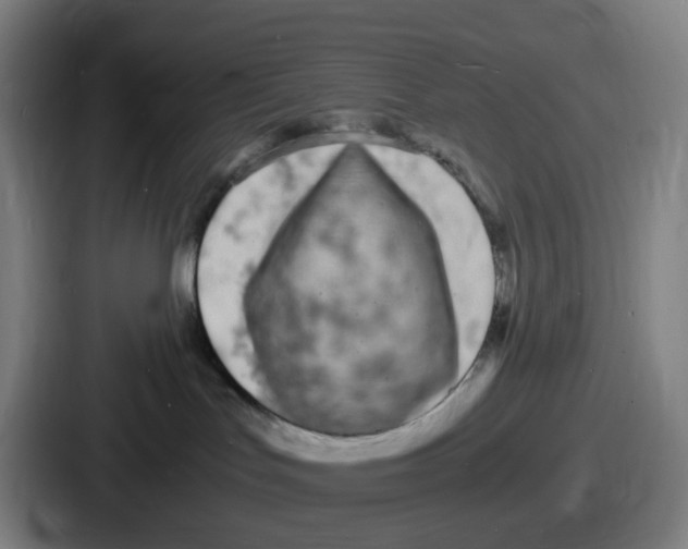 X0000086910047200705141711