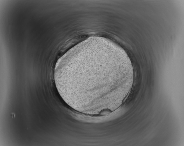 X0000086910048200705141711