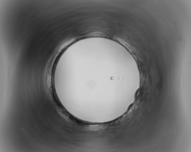 X0000086910050200705141710