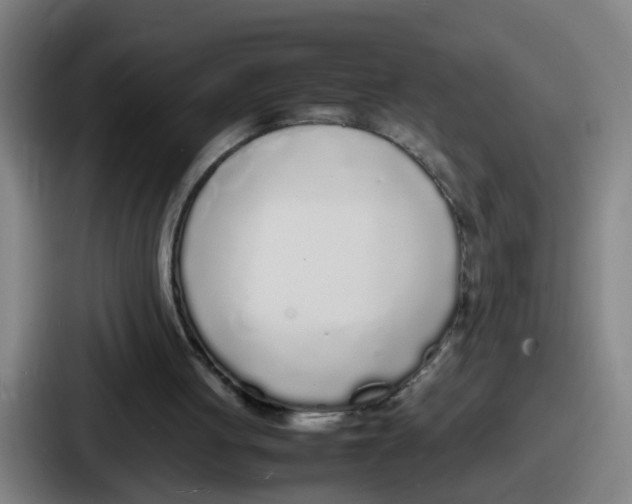 X0000086910051200705141710