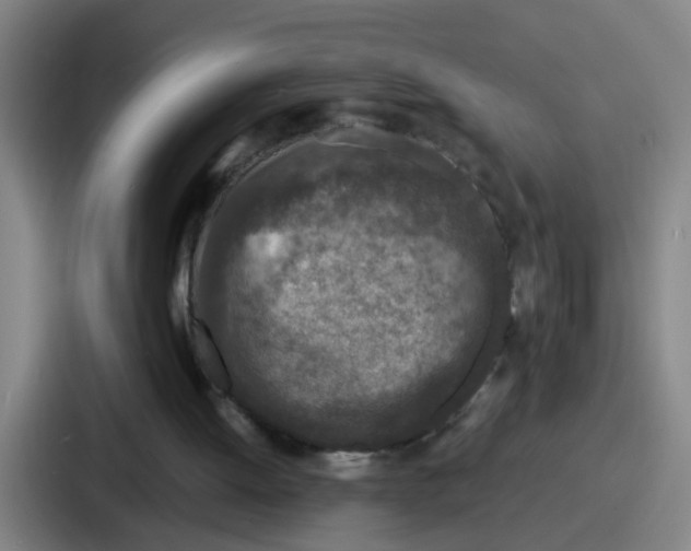 X0000086910052200705141710