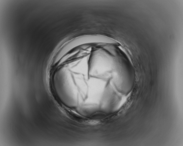 X0000086910053200705141710