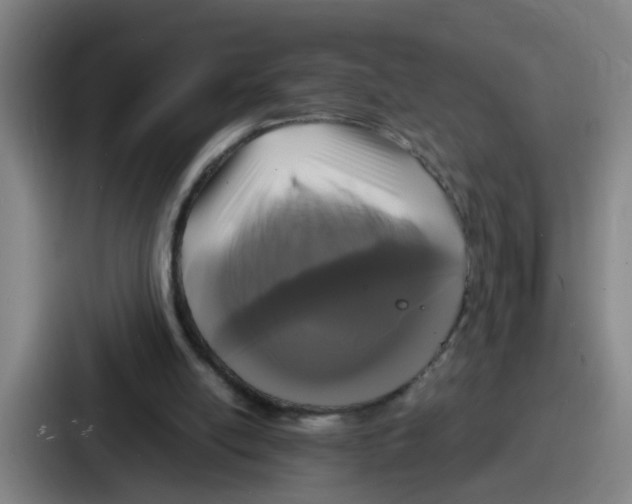 X0000086910054200705141710