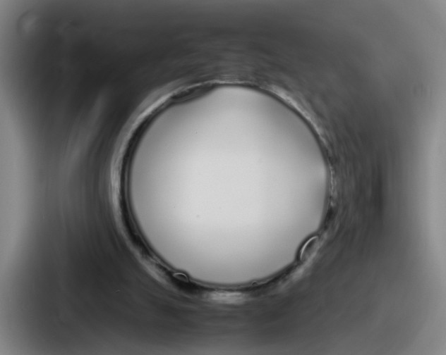 X0000086910055200705141710