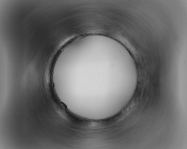 X0000086910060200705141710