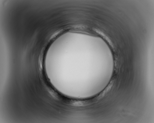 X0000086910062200705141710