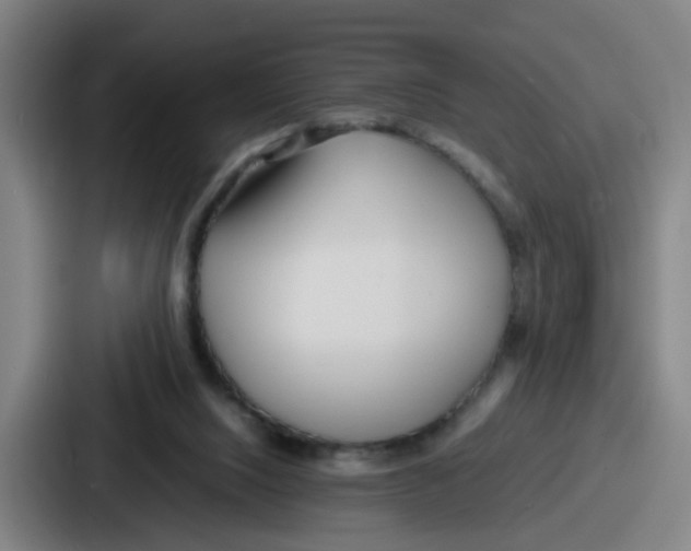 X0000086910064200705141710