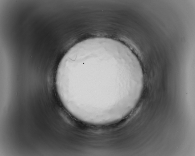 X0000086910065200705141710