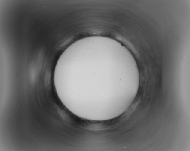 X0000086910066200705141711