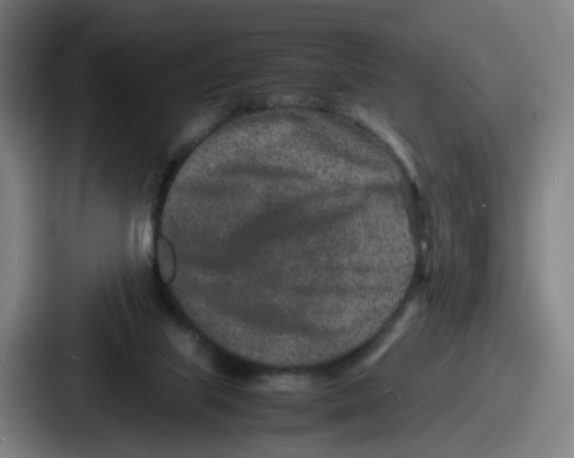 X0000086910067200705141711