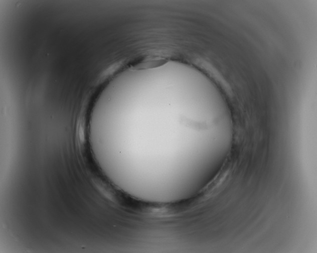 X0000086910068200705141711