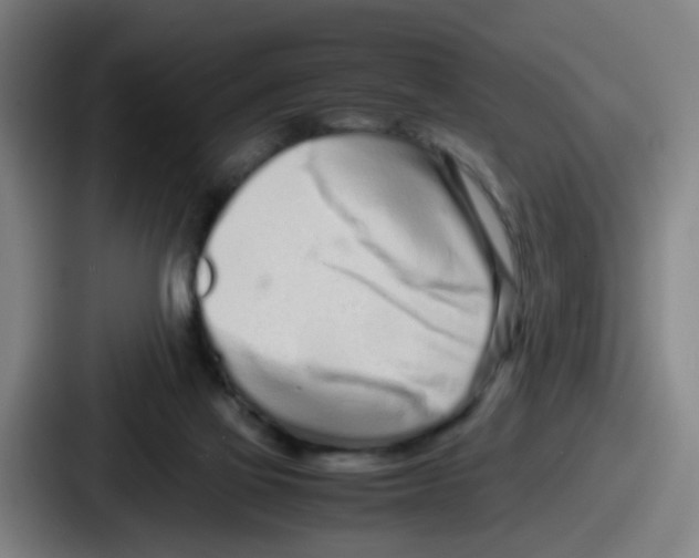 X0000086910069200705141711