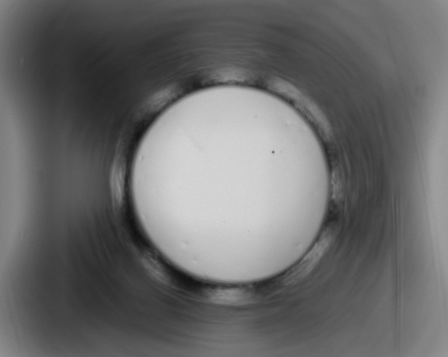 X0000086910070200705141711