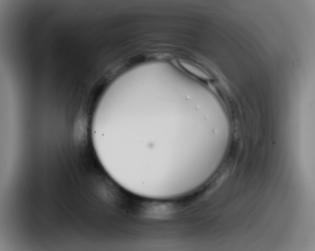 X0000086910073200705141711