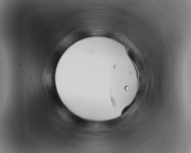 X0000086910074200705141711