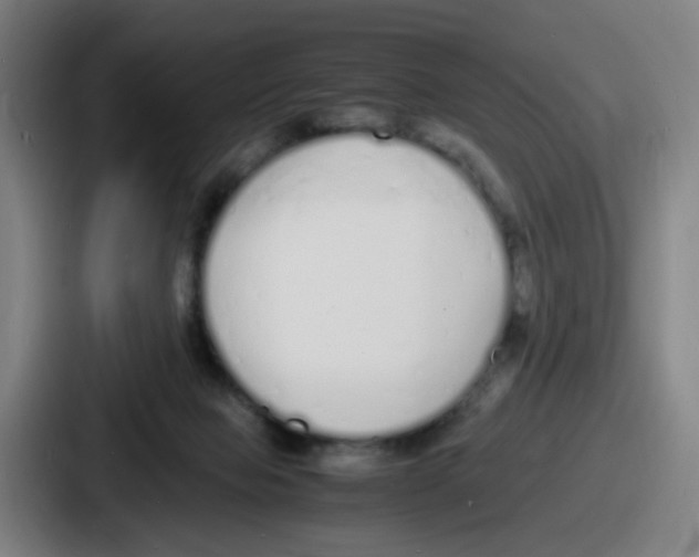 X0000086910077200705141711