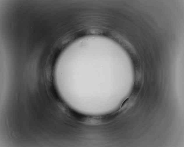 X0000086910078200705141711