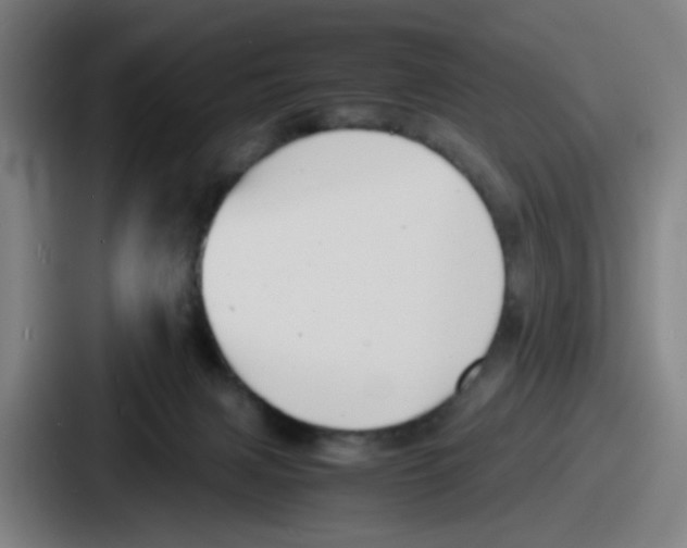 X0000086910079200705141711