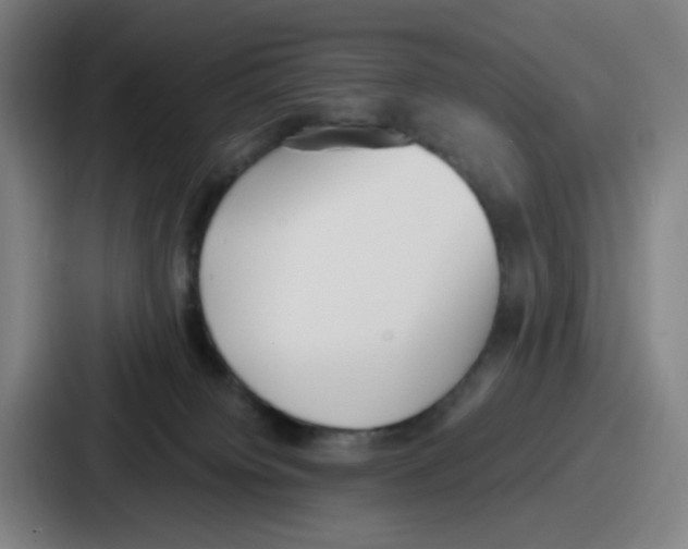 X0000086910084200705141711