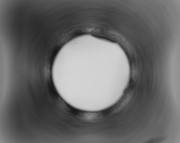 X0000086910085200705141711