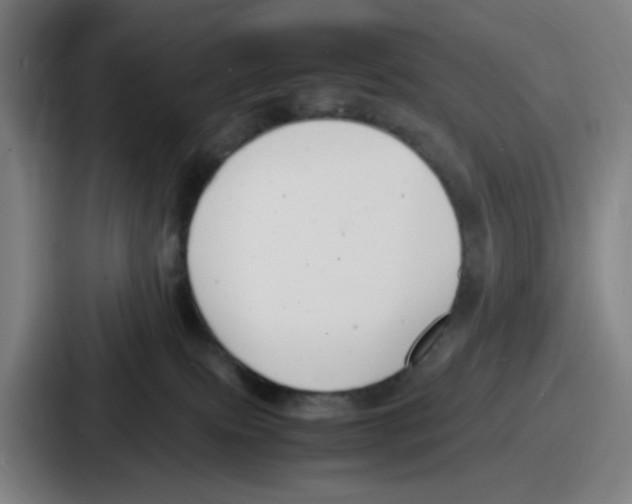 X0000086910087200705141711