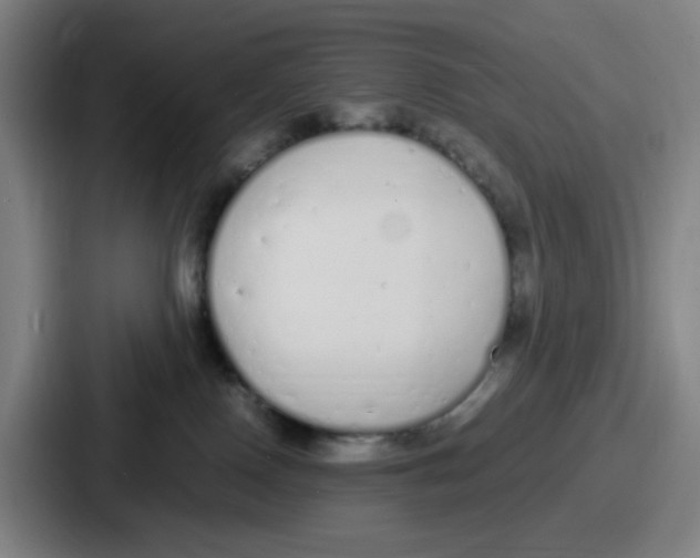 X0000086910090200705141711