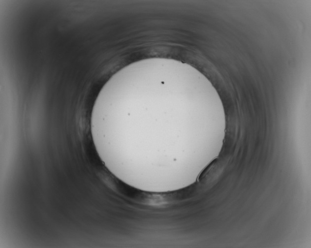 X0000086910091200705141711