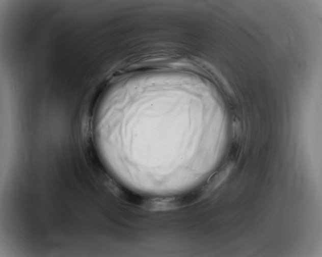 X0000086910093200705141711