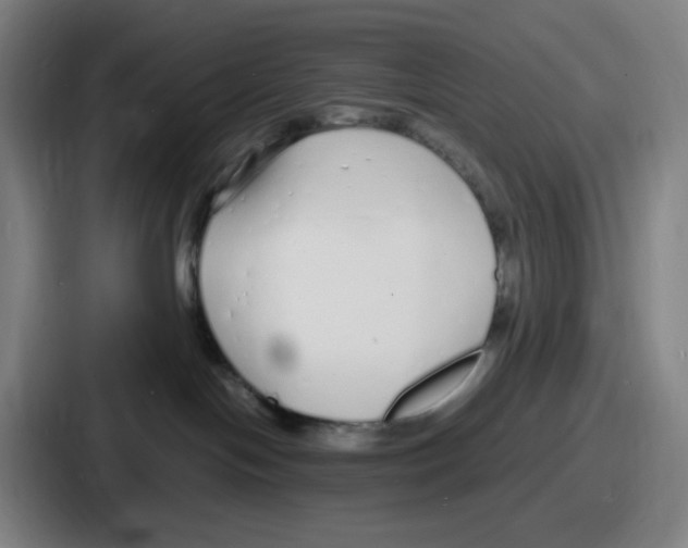 X0000086910094200705141711