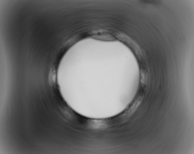 X0000086910095200705141711