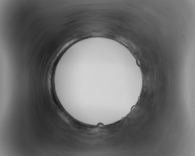 X0000086910098200705141710