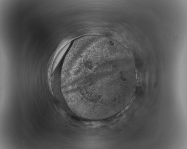 X0000086910099200705141710