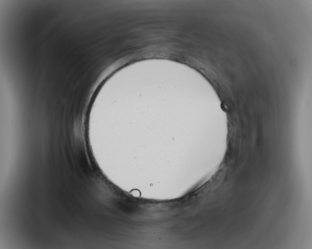 X0000086910100200705141710