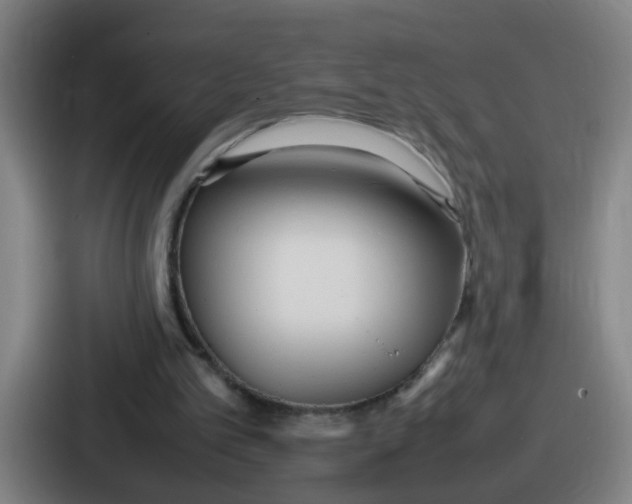 X0000086910101200705141710