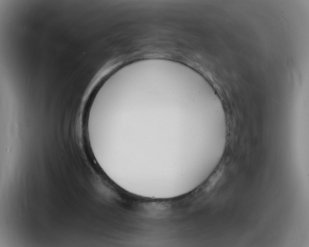 X0000086910102200705141710