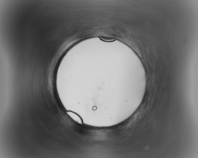 X0000086910103200705141710