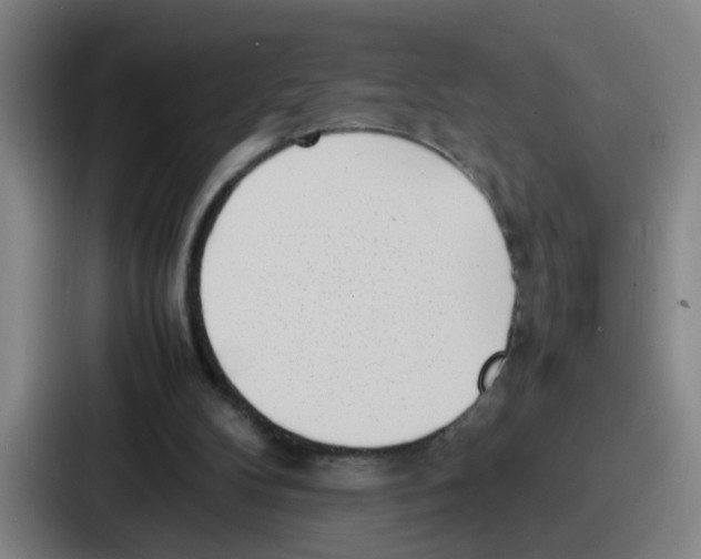 X0000086910104200705141710