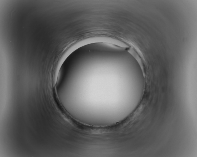 X0000086910105200705141710