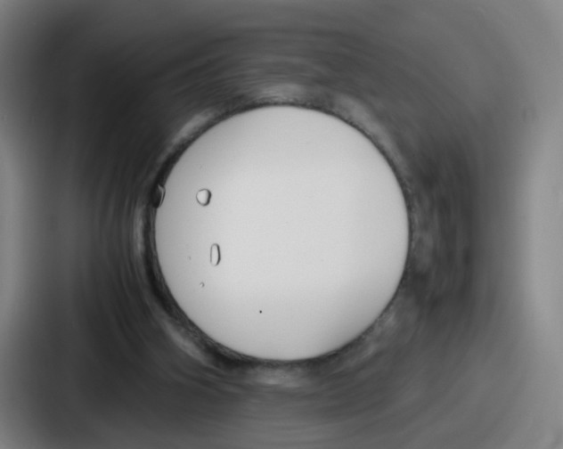 X0000086910106200705141710