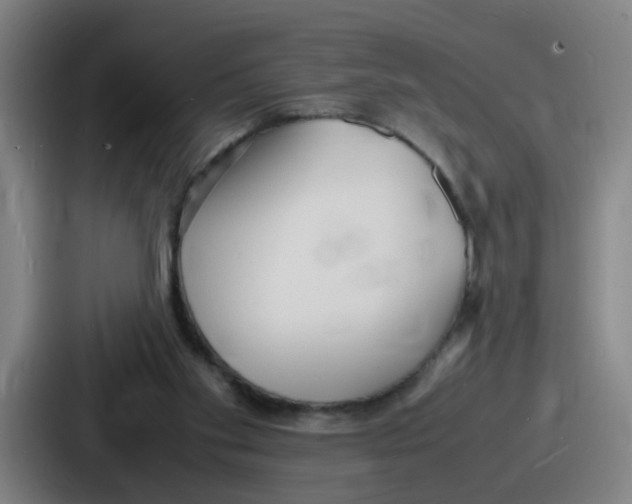 X0000086910109200705141710