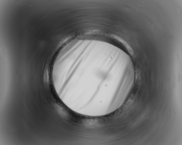 X0000086910110200705141710