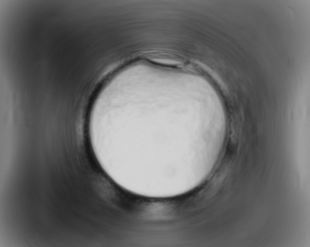 X0000086910111200705141710