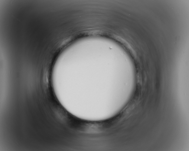 X0000086910115200705141710